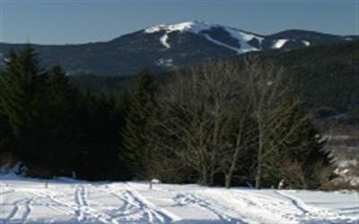 Velký Javor / Großer Arber 1456 m n. m. - nejvyšší vrchol Šumavy